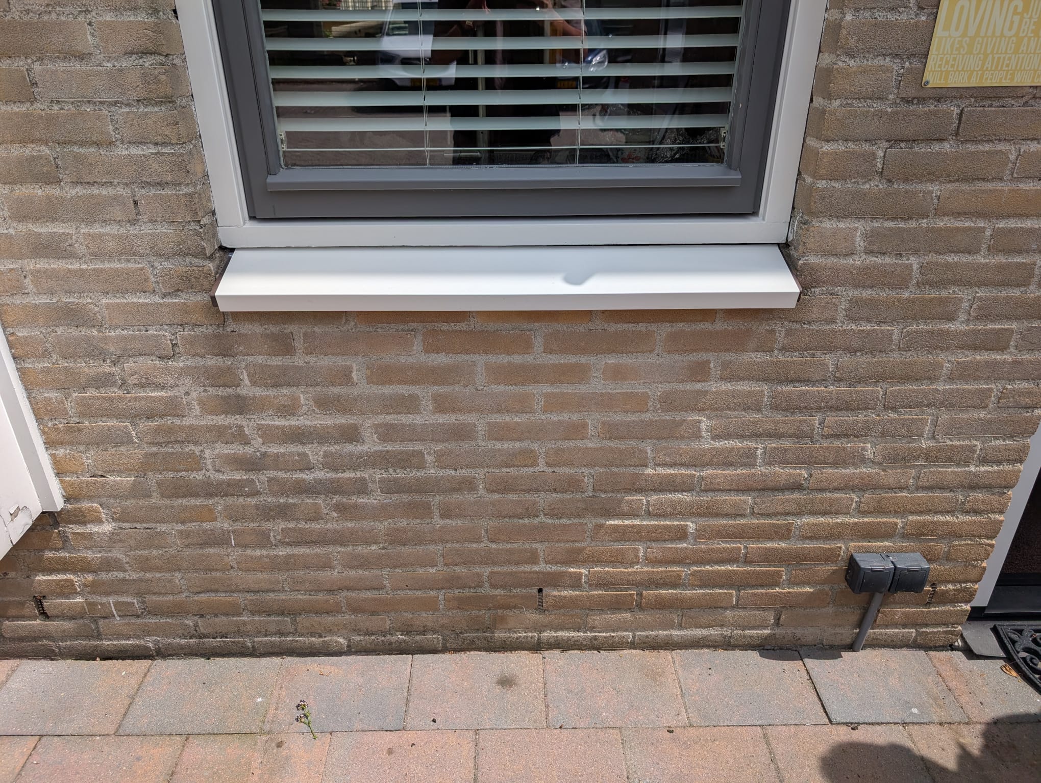 schoener LELYSTAD